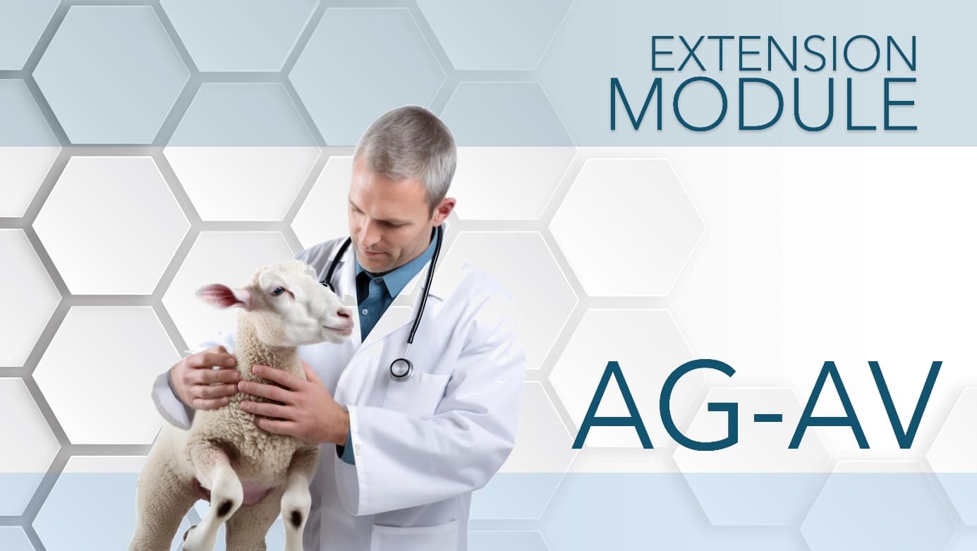 Veterinary teaching equipment and animal health training tools