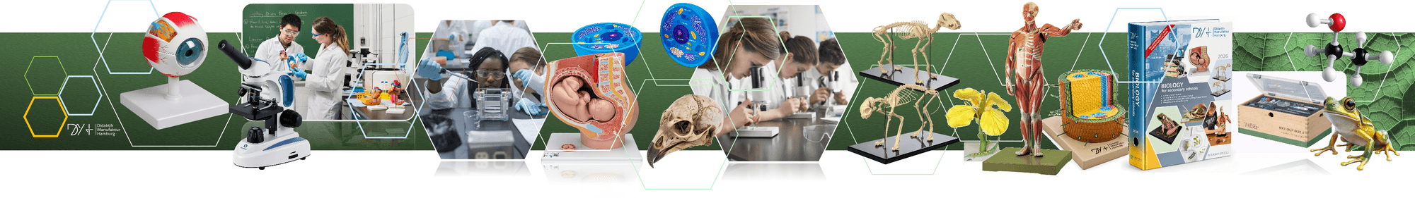 Microscope and biology models
