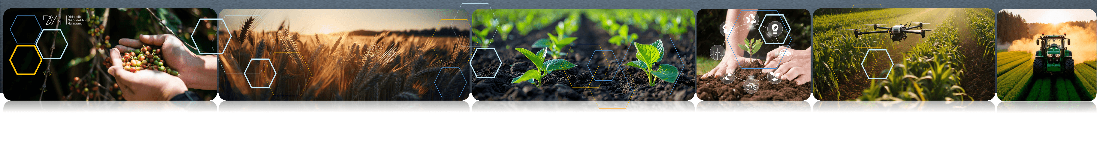 Agricultural Science - University Level banner