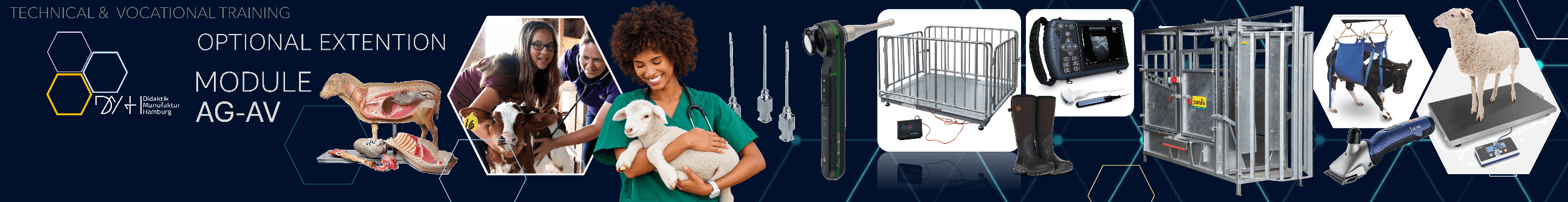 Veterinary teaching equipment and animal health training tools