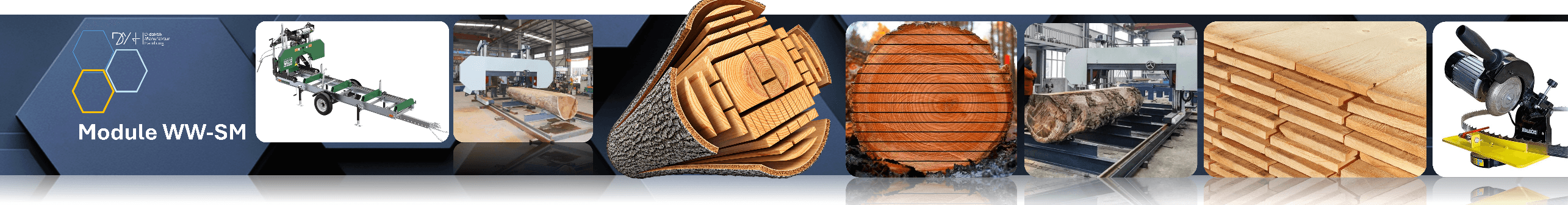 Module WW-SM: mobile and stationary band sawmills, logs, sawn timber and a saw-blade sharpener
