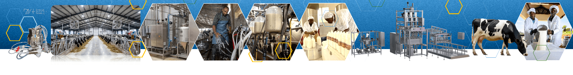 Formation en technologie laitière — ferme laitière, traite, lignes de transformation du lait et apprenants conditionnant des produits laitiers