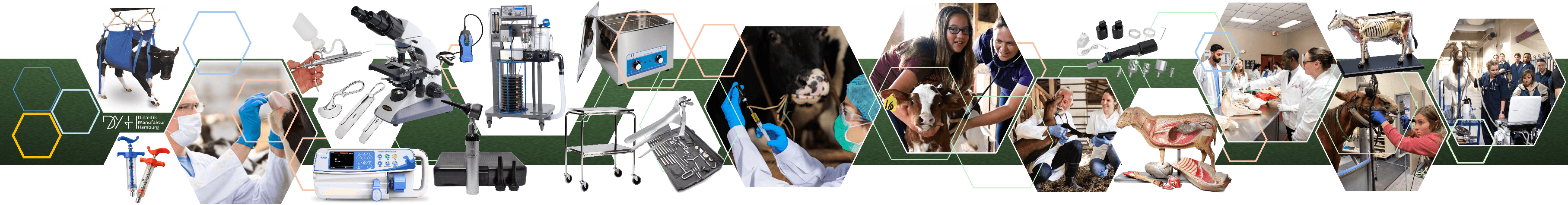 Ausbildungsausstattung für Veterinärmedizin und Tiergesundheit – Mikroskop, Narkosegerät, chirurgische Instrumente, Anatomiemodelle und Untersuchung von Nutztieren